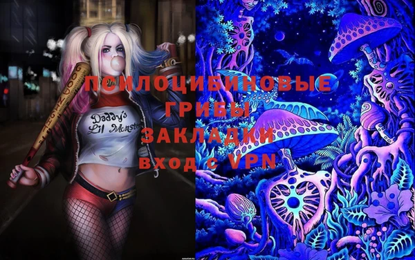 амф Россошь